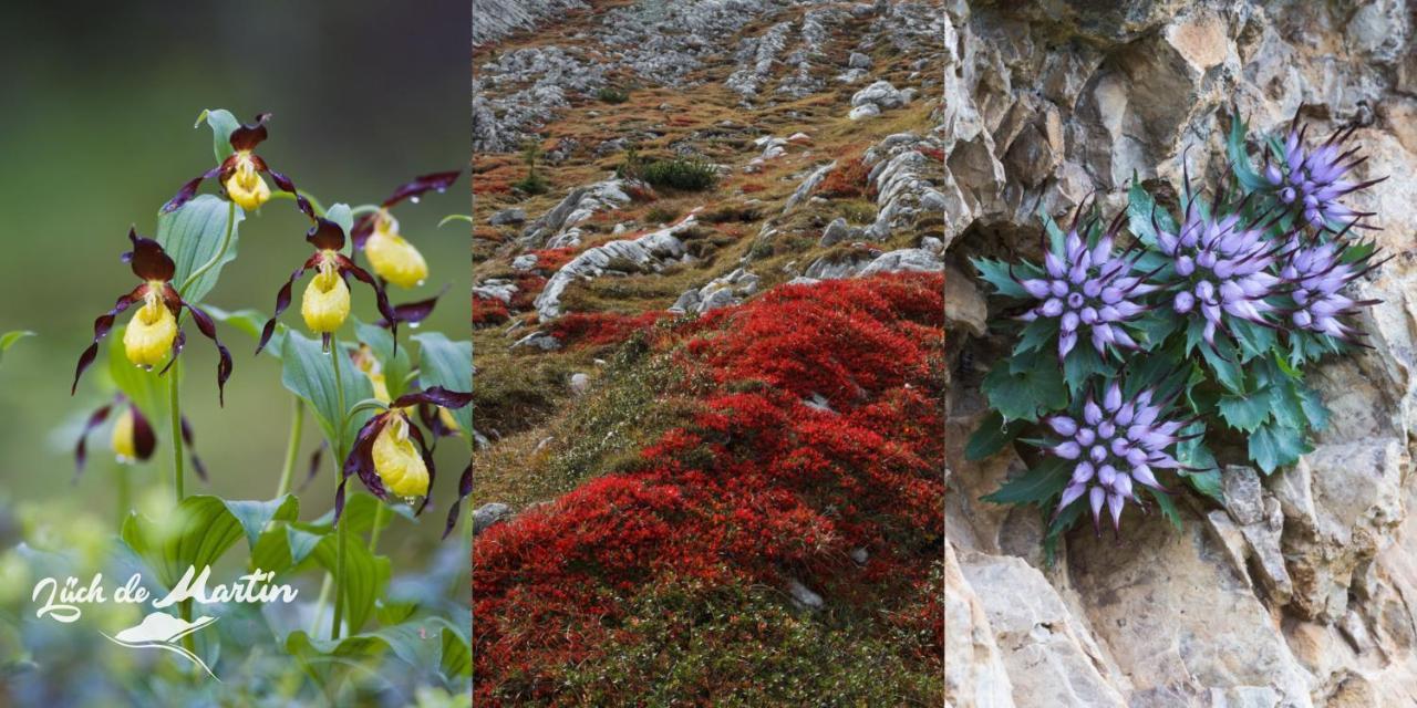 Luech De Martin Daire La Valle Dış mekan fotoğraf